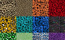 Kako narediti leopard dizajn nohtov