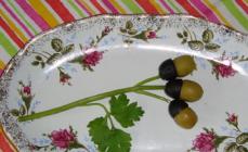 Poudarek žuželk Ježek za serviranje oliv in oliv