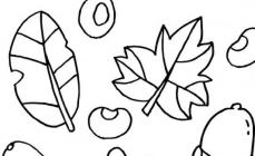 Autumn coloring for children of different ages: download and print Autumn Coloring for the middle group