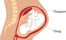 När moderkakan bildas under graviditeten, utvecklingsnorm och patologi