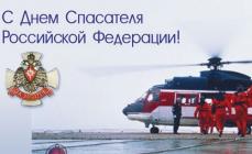 Día del salvador de la Federación Rusa (Día del Ministerio de Situaciones de Emergencia)