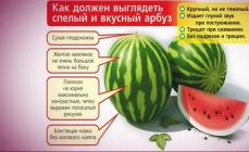 Hur testar man vattenmelon för nitrater?
