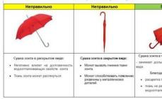 Cómo secar un paraguas después de la lluvia según la etiqueta y cómo cuidarlo adecuadamente Cómo secar un paraguas